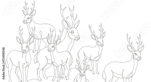 Elegance and Grace A Herd of Deer in the Wild, Natural World