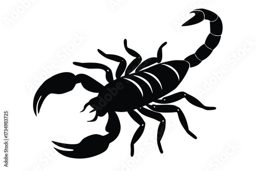 crawling scorpion silhouette vector illustration on black colour and white background