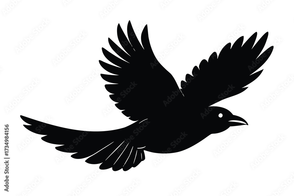 Obraz premium flying crow silhouette vector illustration on black colour and white background