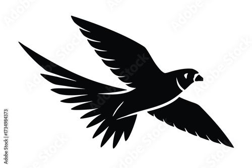 flying falcon silhouette vector illustration on black colour and white background