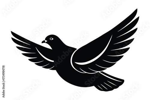 flying pigeon silhouette vector illustration on black colour and white background