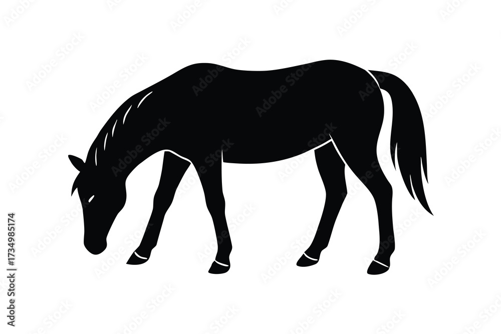 Fototapeta premium grazing horse silhouette vector illustration on black colour and white background