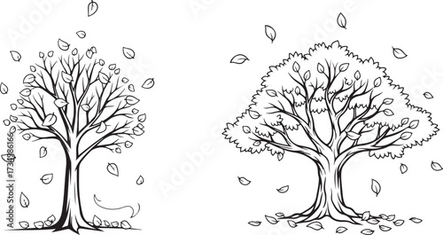 Black and White Line Art Illustration of Two Trees with Falling Autumn Leaves