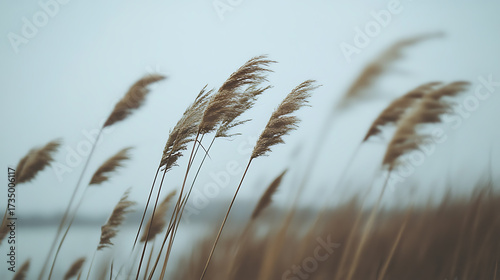 A beautiful natural landscape.