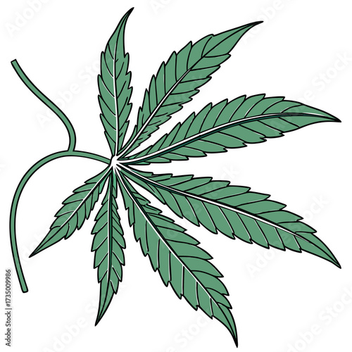 Illustration of a cannabis leaf in green color