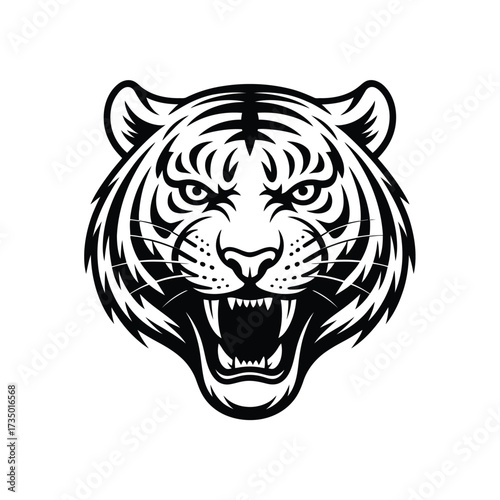 Fierce tiger head roaring open mouth intense eyes powerful majestic wild cat