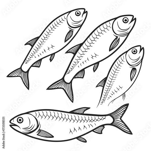 A school of small silvery fish swimming together in a dynamic underwater composition with clean lines