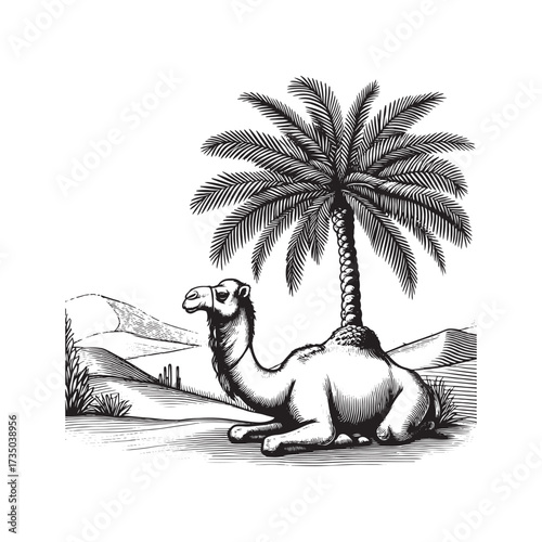 Desert Scene with Camel and Palm Tree