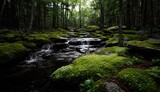 A serene woodland stream cascades over mossy rocks, bathed in the dappled light of a forest.