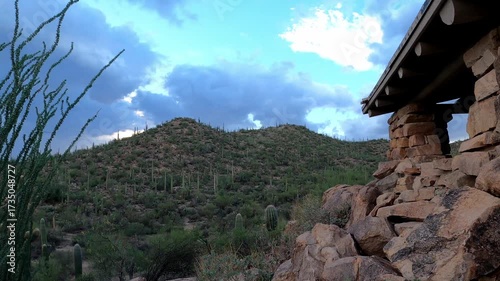 Arizona 1046 Saguaro National Park Tucson Cactus Desert