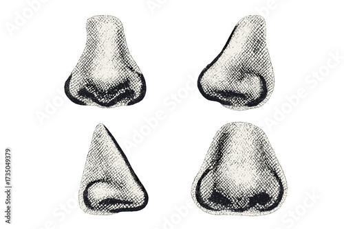 Vintage retro halftone noses set. Groovy mixed media collage elements with dotted pop art style. Different nose illustrations in grunge texture, vector design collection.