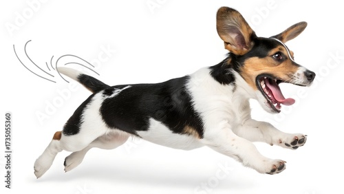 Excited puppy leaps with joy, wagging tail, perfect for pet lovers and heartwarming animal content