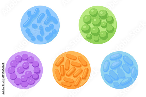 Probiotics bacteria 3D icon set. Lactobacillus, bifidobacterium, streptococcus. Gut microbiome, healthy digestion concept. Prebiotic, lactococcus, microbiology vector.