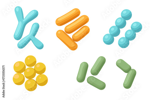 3D render concept of probiotics. Bifidobacterium, lactobacillus, streptococcus, lactococcus. Good bacteria collection. Gut flora, microbiome science. Health. Simple illustration.