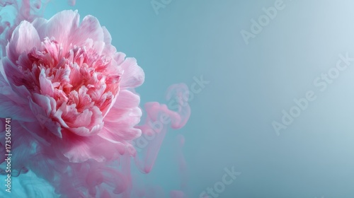 Fototapeta Naklejka Na Ścianę i Meble -  Ethereal pink peony flower in light turquoise underwater embrace with soft pink wisps of smokey flowy paint