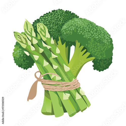 Generous bouquet of fresh asparagus spears and broccoli florets tied neatly with jute rope, a healthy food item - Vector Illustration	