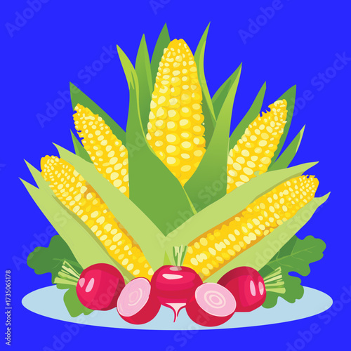 Bright and vibrant bunch of yellow corn cobs and red radishes, a beautiful summer harvest of fresh produce - Vector Illustration	