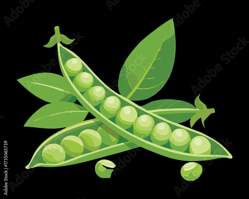 Close-up view of fresh green pea pods, showing texture and detail, ready for cooking or immediate consumption - Vector Illustration	