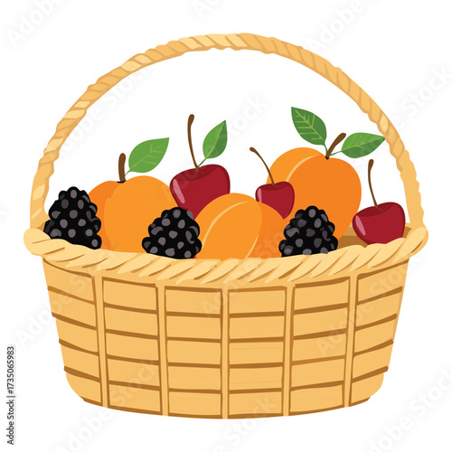 A wicker basket packed with cherries, oranges, and blackberries, a bountiful collection of freshly picked summer produce - Vector Illustration.	