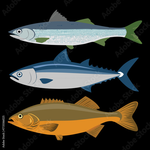 Three whole blue and brown fish stacked vertically with shadows, showing different species like mackerel and tuna, ready for the market - Vector Illustration.	