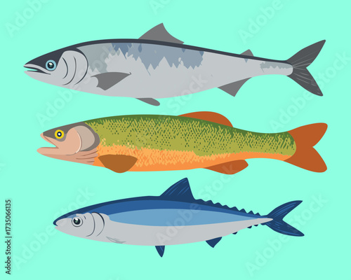 A trio of whole different types of fish, including a herring and a trout, with clean and sleek profiles against a light aqua backdrop - Vector Illustration.	