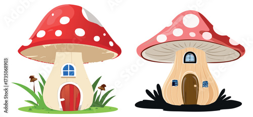 mushroom and mushrooms
