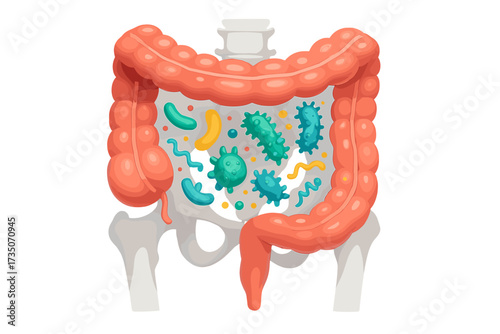Gut microbiome in human body. 3D intestine with healthy bacteria, probiotics. Colon on pelvis silhouette. Digestion, gut health concept. Medical vector cartoon illustration.