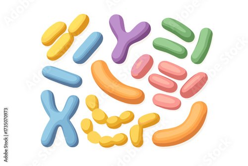 3D render microbiome composition. Probiotic bacteria background with lactobacillus, bifidobacteria, acidophilus. Cartoon vector illustration of gut flora and microorganisms set.