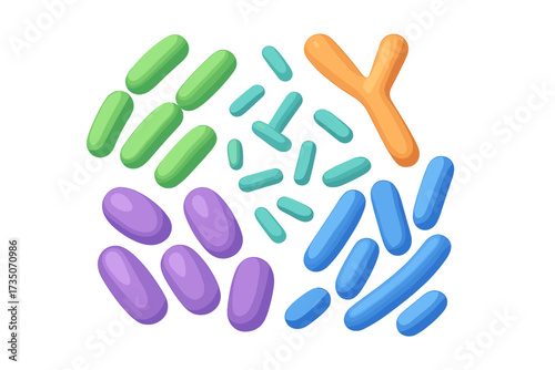Microbiome 3d vector illustration with probiotics. Good bacteria like lactobacillus, bifidobacterium for gut health. Medical biology science concept. Healthy flora organism.