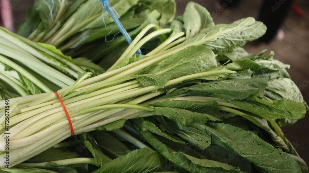 Obraz premium fresh mustard greens tied to the stalls of Indonesian traditional market sellers