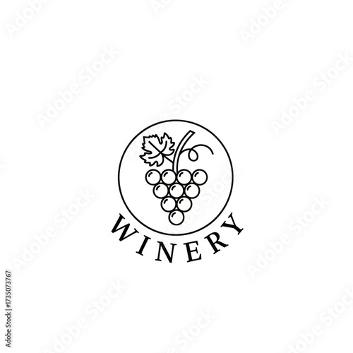 Minimalist line art logo featuring a bunch of grapes with a leaf and vine inside a circular frame, with the word 'WINERY' arced below.