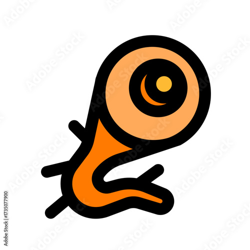eye organ