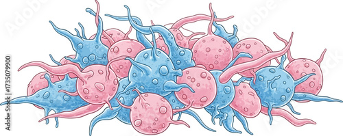 Illustration of blue and pink cells with protrusions and circular markings on a white background