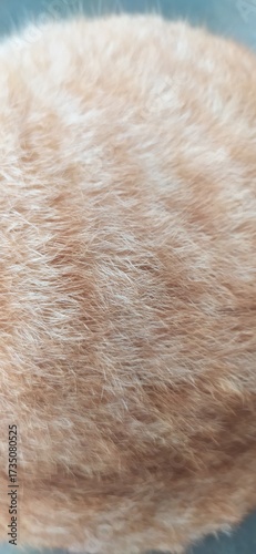 close up of fox fur texture