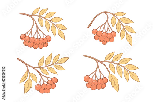 Set of rowan branches with red berries and yellow autumn leaves. Hand drawn vector illustration for fall design. Isolated botanical clipart collection in soft pastel colors. Nature.