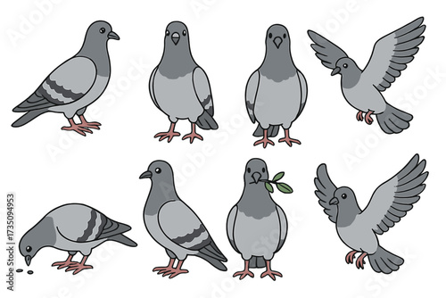 Detailed vector illustration of pigeons in various poses including standing, flying, holding olive branch, and eating, transparent background, urban bird collection