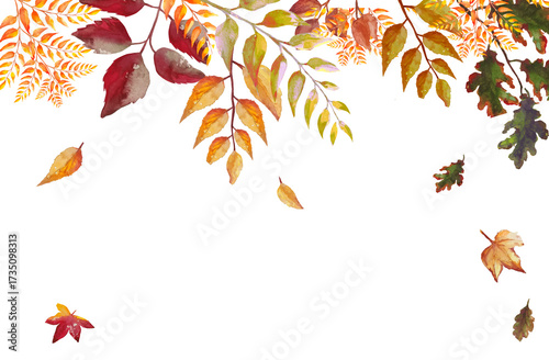 Autumn foliage watercolor seasonal background illustration