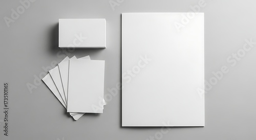 Blank Stationery Mockup with Business Cards and Brochure.