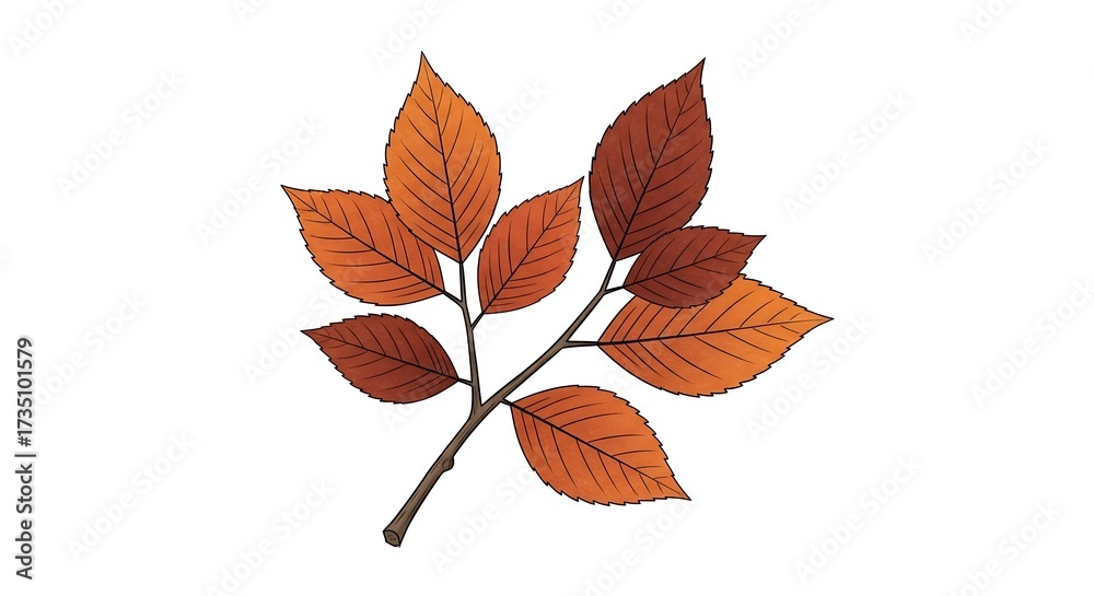 Naklejka premium Autumn Leaves Illustration on White Background 1.