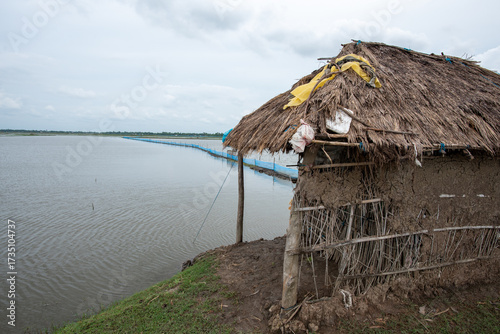 Shrimp farm