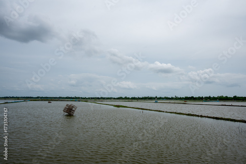 Shrimp farm