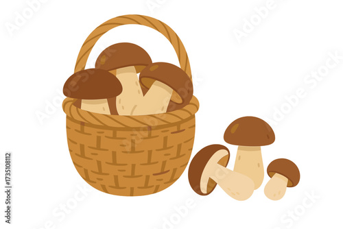 Wicker basket full of fresh porcini mushrooms, boletus edulis. Set of wild edible forest fungus isolated on white. Healthy organic food. Vector flat cartoon illustration.