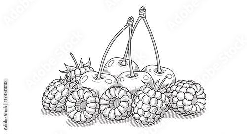 Fresh Cherries and Raspberries Drawing.