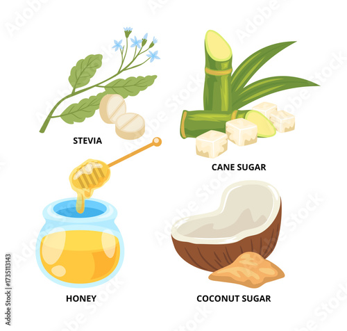 Set of natural sweetener set collection with green leaves stevia plant and pills, honey and honeycomb, cane sugar and coconut sugar powder and sliced coconut. Natural food sweetener additive