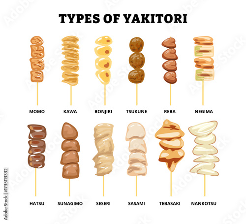 Different types of yakitori types set collection. Japanese grilled chicken skewers. Delicious japanese cuisine or dish. Asian traditional meal barbecue appetizer. Flat vector illustration.