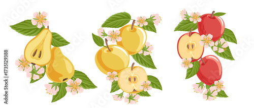 vector drawing composition with pear and apple fruits, flowers and green leaves isolated at white background, hand drawn illustration