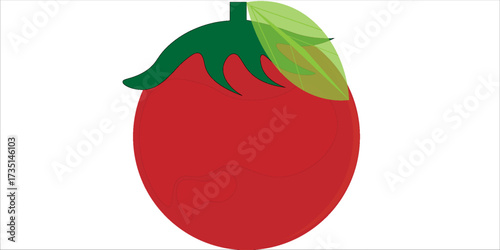 tomato is a kind fruit.