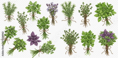 A collection of fresh culinary herbs including rosemary, thyme, basil, parsley, and lavender, bundled with twine on a transparent background.