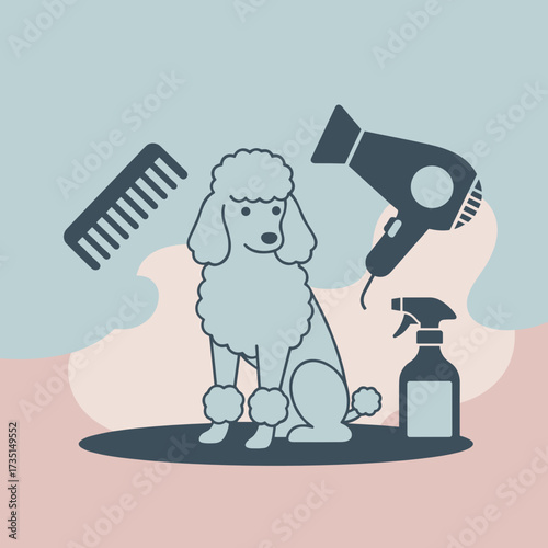 Poodle dog sitting with grooming tools on pastel background  