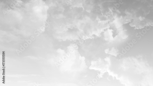 White sky stock photo